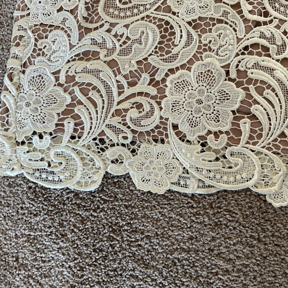 Dress The Population White and Nude Lace Ava Dress - V Neck Mini - Picture 4 of 16